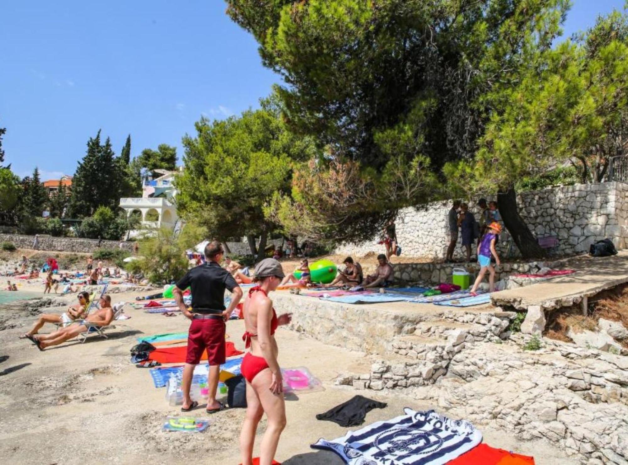 Darmy Trogir
